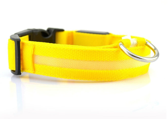 LED Safety Dog Collar - Rechargeable Light-Up Pet Collar