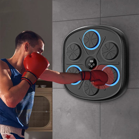 LED Boxing Wall Target