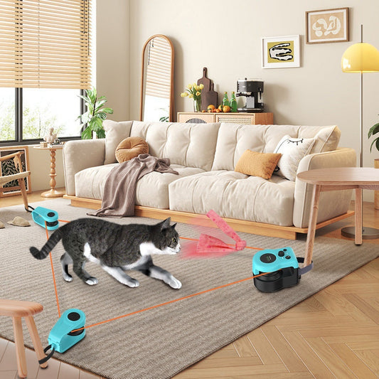Interactive Cat Exercise Toy