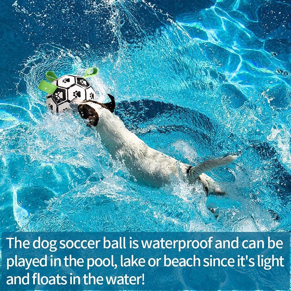 Smart Soccer Ball Dog Toy