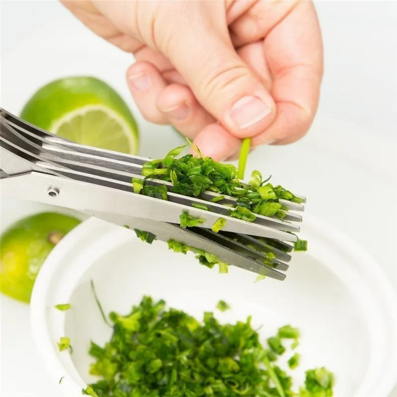 Multi-Layer Herb Scissors – Stainless Steel Green Onion & Spice Cutter