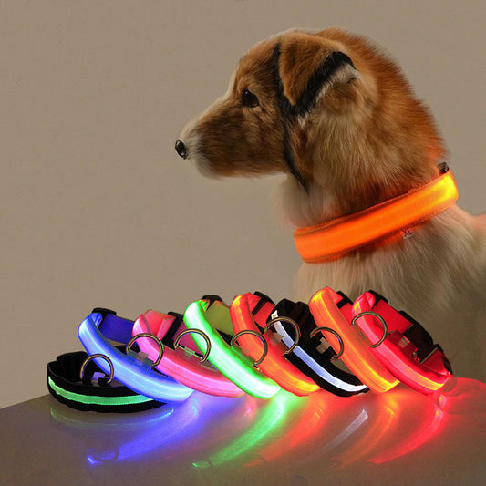 LED Safety Dog Collar - Rechargeable Light-Up Pet Collar
