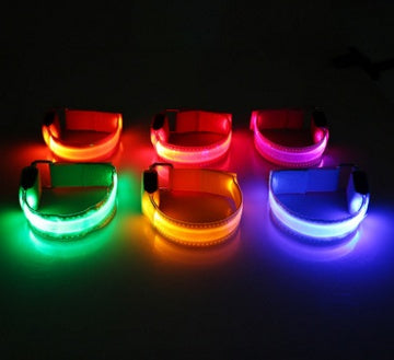 LED Safety Dog Collar - Rechargeable Light-Up Pet Collar