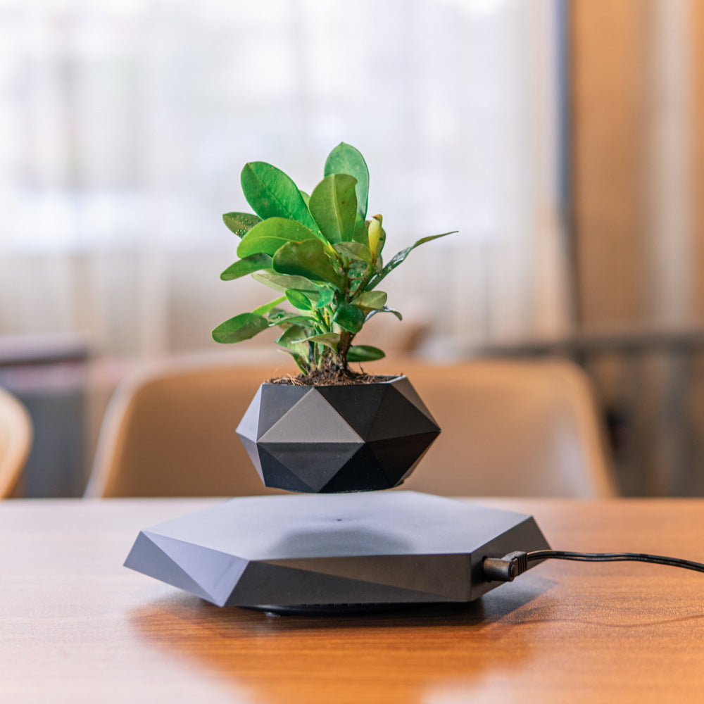Levitating Plant Pot - Magnetic Floating Planter