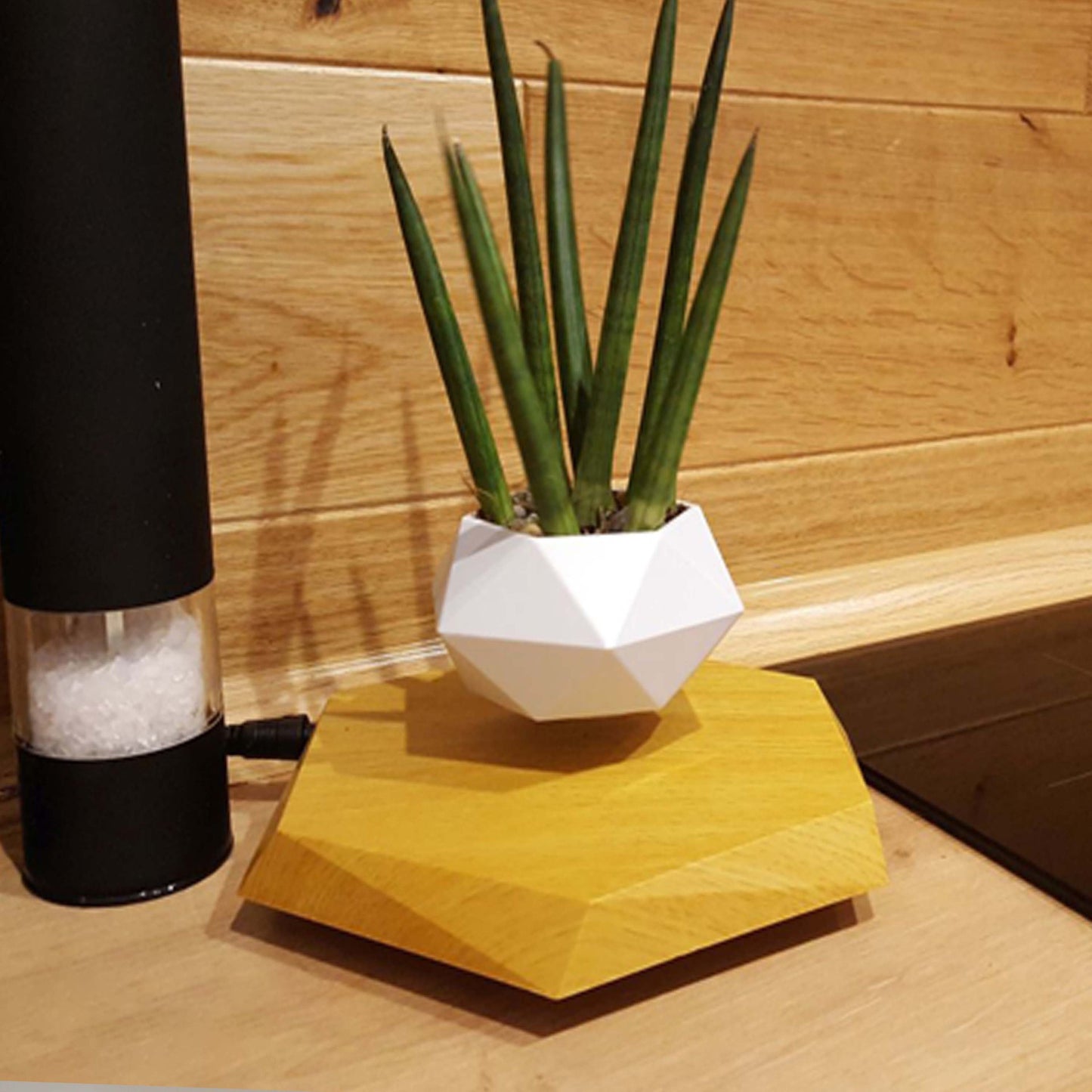 Levitating Plant Pot - Magnetic Floating Planter