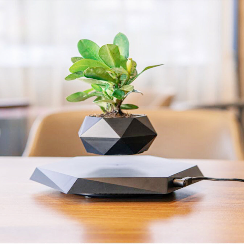 Levitating Plant Pot - Magnetic Floating Planter