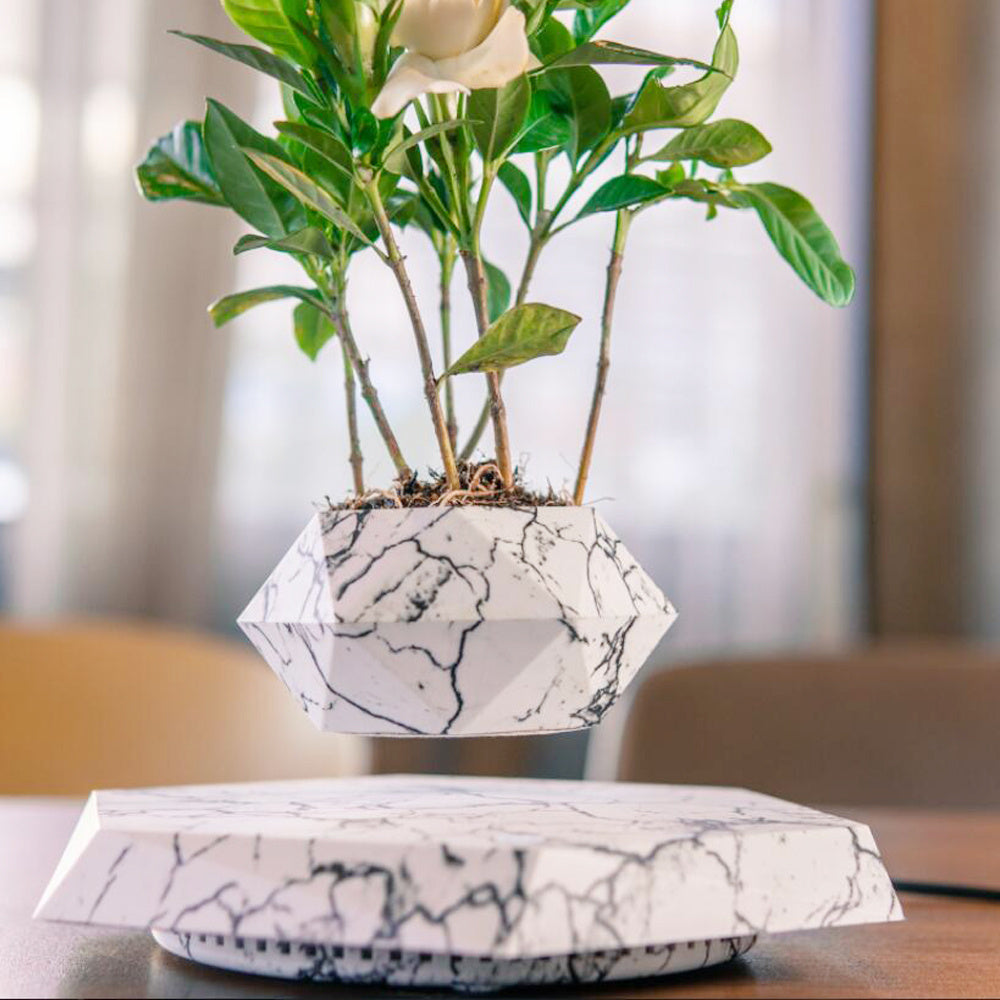 Levitating Plant Pot - Magnetic Floating Planter